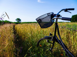 A Girl’s Bike