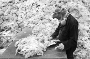 Photograph: Tim Smith | Sorting at Haworth Scouring Company 